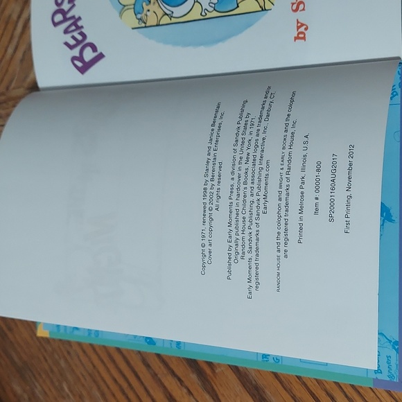 The Berenstain Bears Bears In The Night - Picture 7 of 14